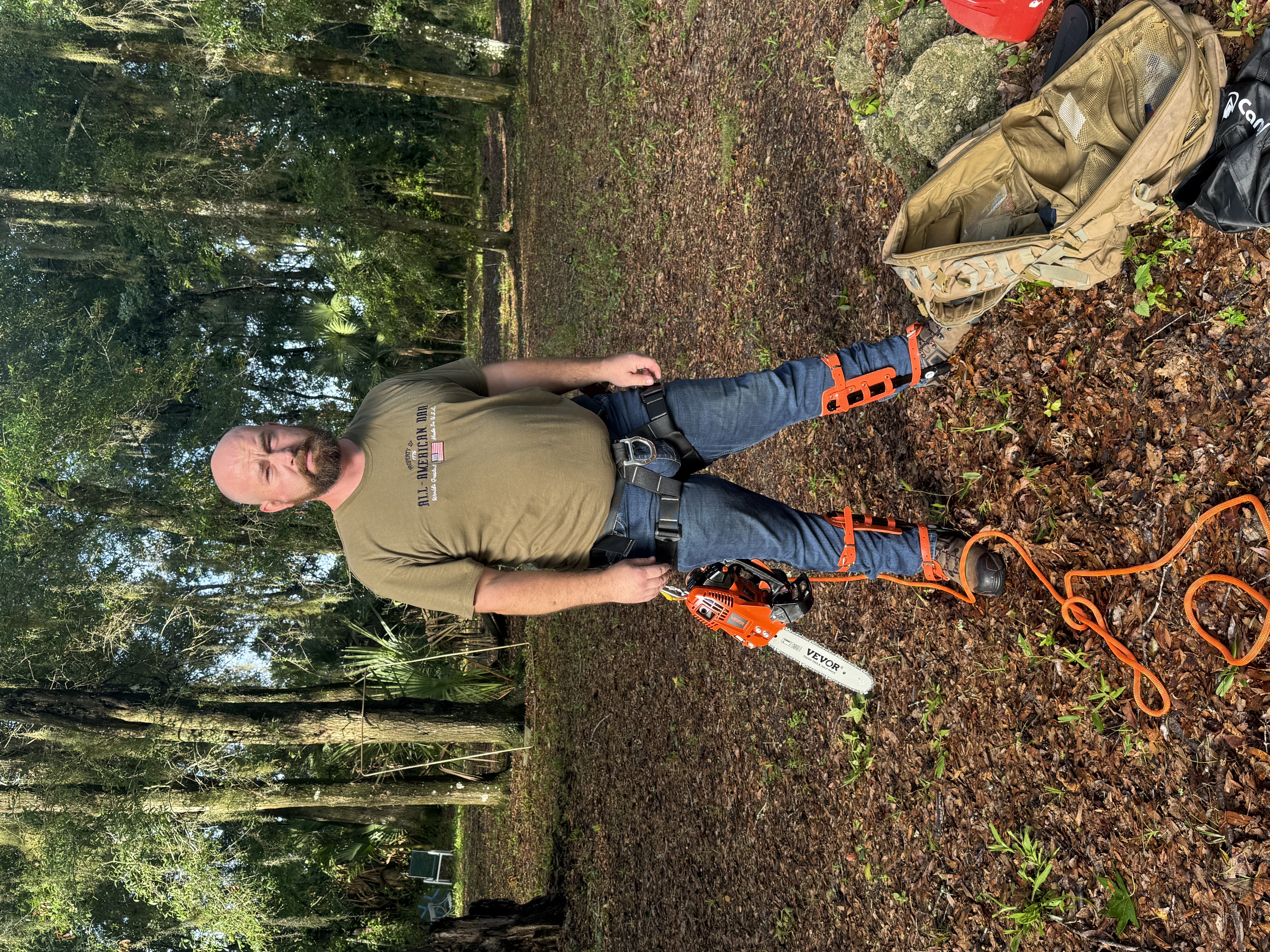 Arborist geared up with climbing spurs and chainsaw
