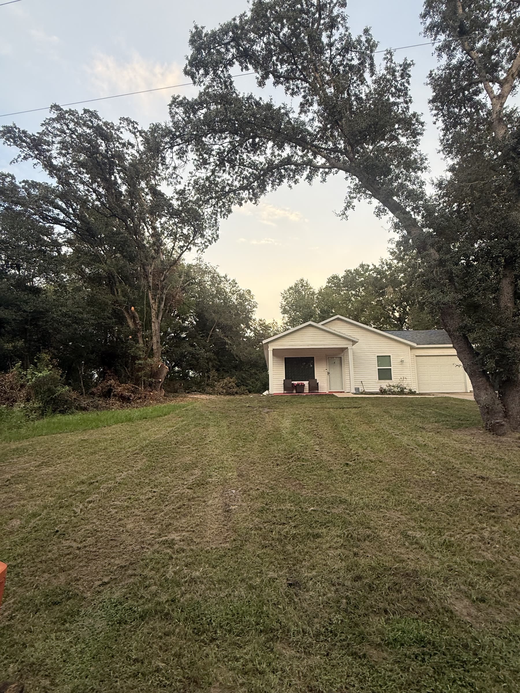 Completed residential tree and property clearing project